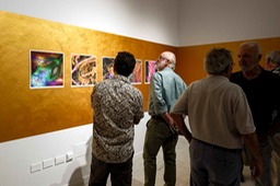 Exposicion Sacred Place de Alfonso Crujera