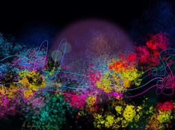 La Lengua Es Curiosa # 2